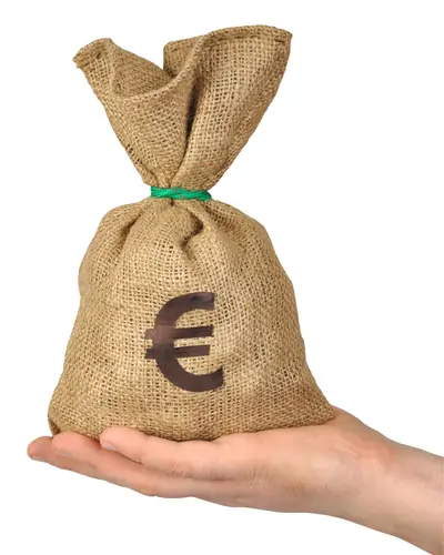 Money Bag